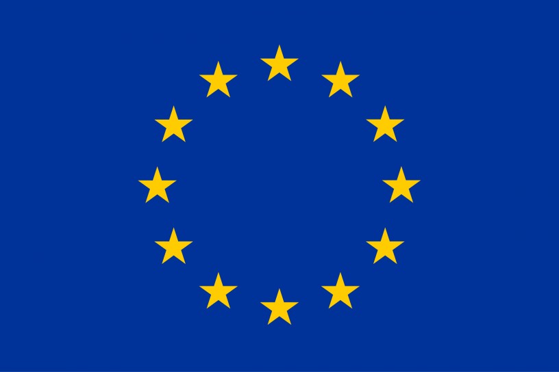 European Competence Framework EU Flag